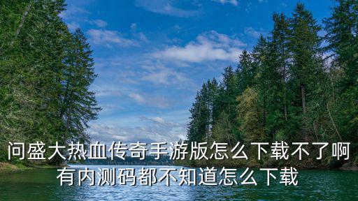 问盛大热血传奇手游版怎么下载不了啊有内测码都不知道怎么下载