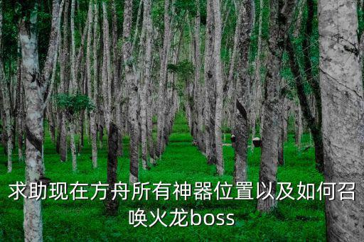 求助现在方舟所有神器位置以及如何召唤火龙boss