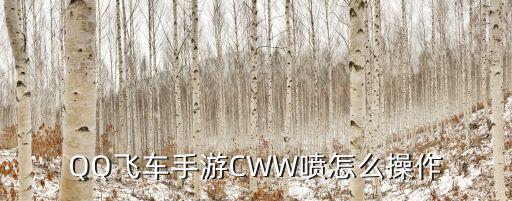 QQ飞车手游CWW喷怎么操作