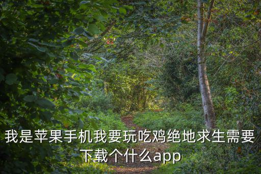 我是苹果手机我要玩吃鸡绝地求生需要下载个什么app