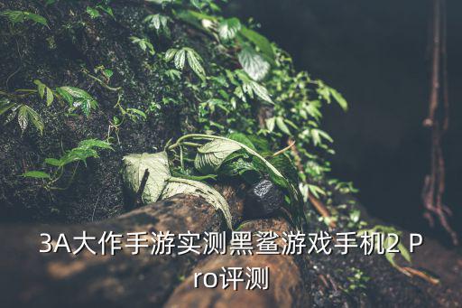 黑鲨手游是怎么交易硬币的，如何交易硬币