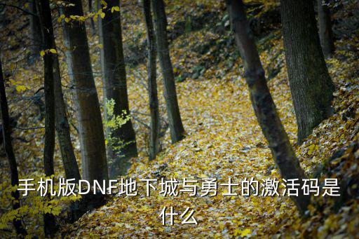 dnf手游怎么激活码，手机版DNF地下城与勇士的激活码是什么