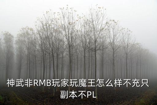 神武非RMB玩家玩魔王怎么样不充只副本不PL