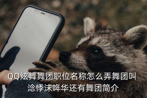 QQ炫舞舞团职位名称怎么弄舞团叫 淰悸沫哖华还有舞团简介