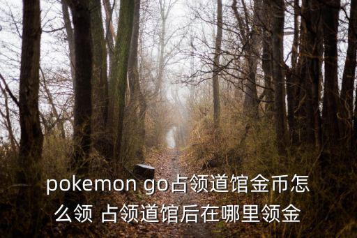 pokemon go占领道馆金币怎么领 占领道馆后在哪里领金