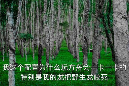 我这个配置为什么玩方舟会一卡一卡的特别是我的龙把野生龙咬死