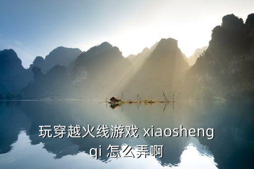 玩穿越火线游戏 xiaoshengqi 怎么弄啊