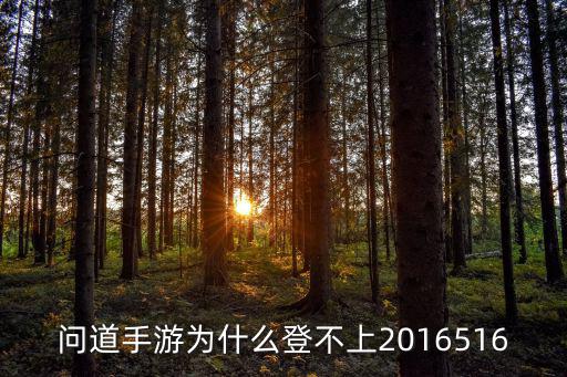 问道手游为什么登不上2016516