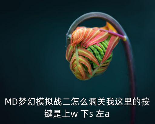 MD梦幻模拟战二怎么调关我这里的按键是上w 下s 左a