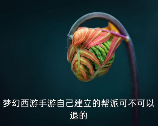 梦幻西游手游自己建立的帮派可不可以退的