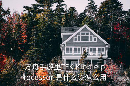 方舟手游里TEK Kibble processor 是什么该怎么用