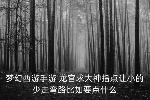 梦幻西游手游 龙宫求大神指点让小的少走弯路比如要点什么