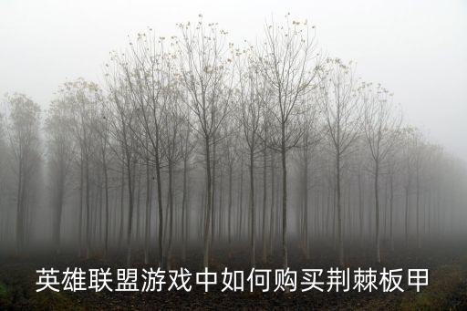 英雄联盟游戏中如何购买荆棘板甲