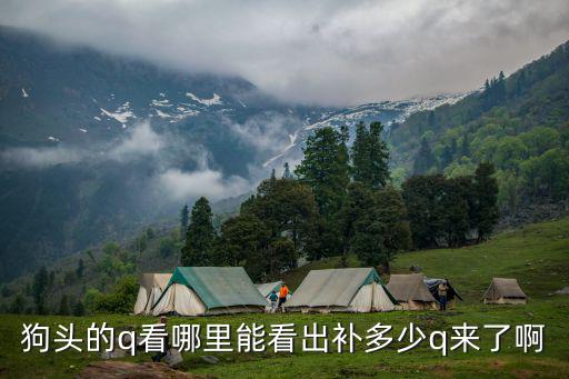 英雄联盟手游狗头怎么看q了多少，狗头的q看哪里能看出补多少q来了啊