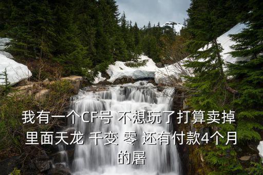 我有一个CF号 不想玩了打算卖掉 里面天龙 千变 零 还有付款4个月的屠