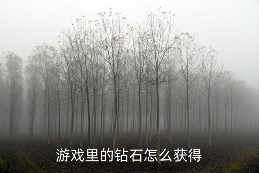 游戏里的钻石怎么获得