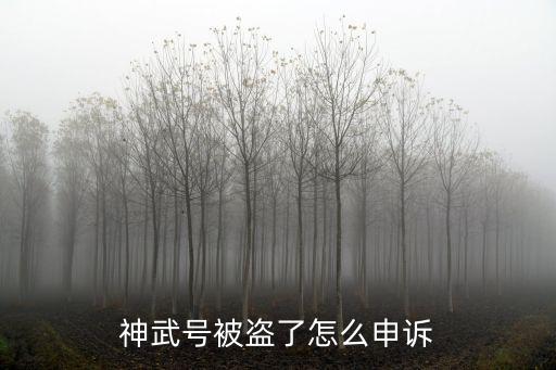 神武号被盗了怎么申诉