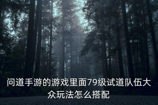 问道手游79级怎么上八宝林，问道游戏中多少级了才可以进入七宝林