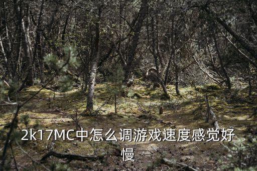 2k17MC中怎么调游戏速度感觉好慢