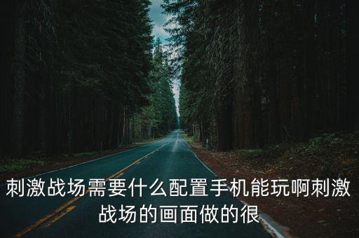 刺激战场需要什么配置手机能玩啊刺激战场的画面做的很