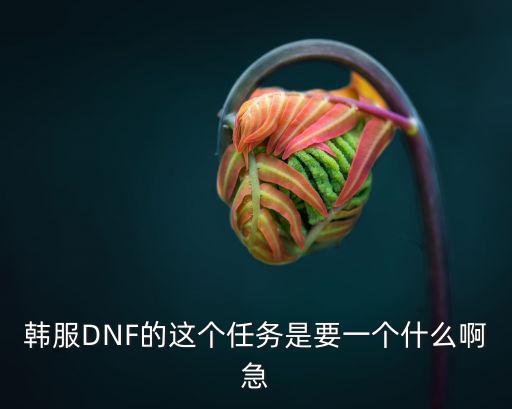 韩服DNF的这个任务是要一个什么啊急