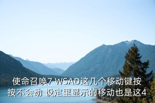 使命召唤7 WSAD这几个移动键按按不会动 设定里显示的移动也是这4