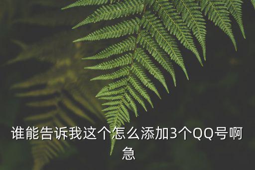 谁能告诉我这个怎么添加3个QQ号啊 急