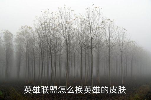 英雄联盟怎么换英雄的皮肤