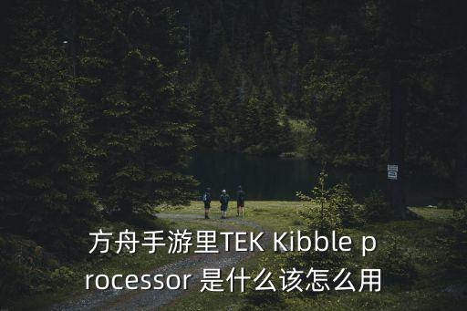 方舟手游里TEK Kibble processor 是什么该怎么用