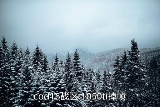 cod手游掉帧高怎么办，使命召唤13玩着会掉帧特别难受有什么解决办法