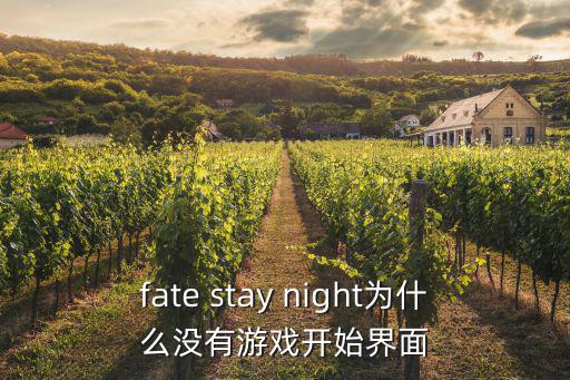 fate stay night为什么没有游戏开始界面