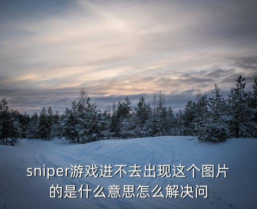 sniper游戏进不去出现这个图片的是什么意思怎么解决问