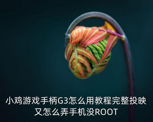 小鸡游戏手柄G3怎么用教程完整投映又怎么弄手机没ROOT