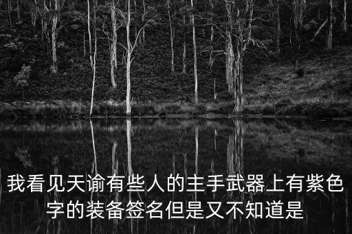 我看见天谕有些人的主手武器上有紫色字的装备签名但是又不知道是