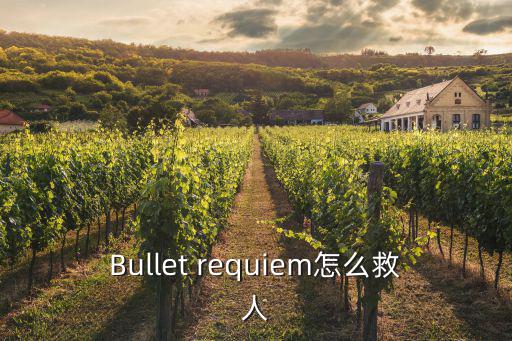 Bullet requiem怎么救人