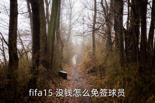 fifa15 没钱怎么免签球员