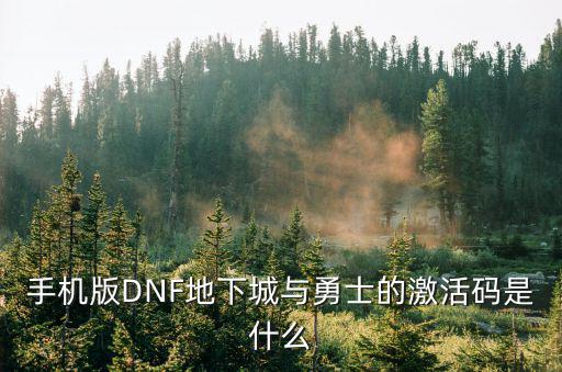 手机版DNF地下城与勇士的激活码是什么