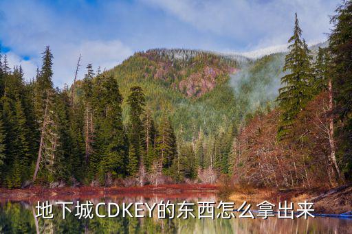 地下城手游卡片登入后怎么取出来，地下城CDKEY的东西怎么拿出来