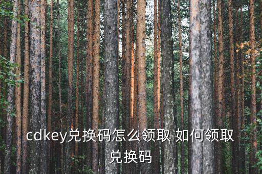 cdkey兑换码怎么领取 如何领取兑换码