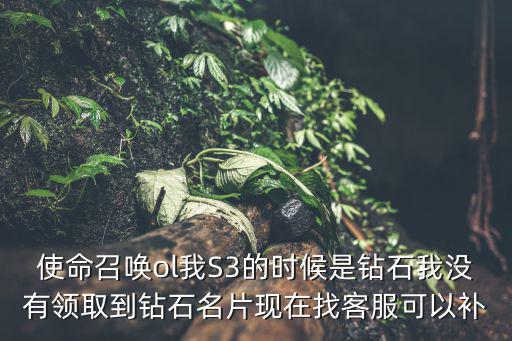 使命召唤ol我S3的时候是钻石我没有领取到钻石名片现在找客服可以补