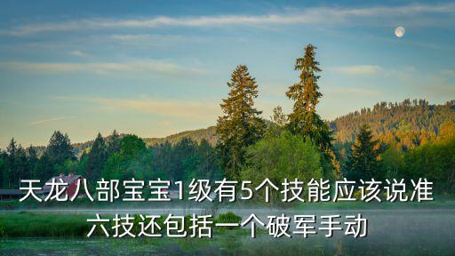 天龙八部宝宝1级有5个技能应该说准六技还包括一个破军手动