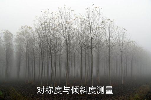 对称度与倾斜度测量