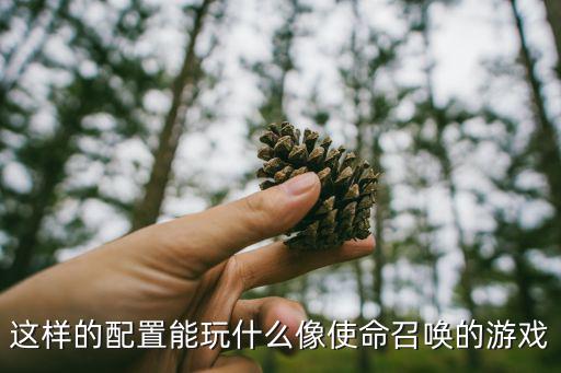 这样的配置能玩什么像使命召唤的游戏