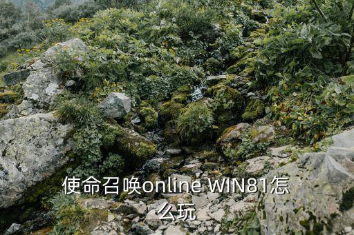 使命召唤online WIN81怎么玩