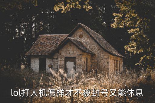 lol打人机怎样才不被封号又能休息