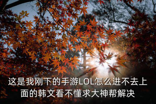 这是我刚下的手游LOL怎么进不去上面的韩文看不懂求大神帮解决