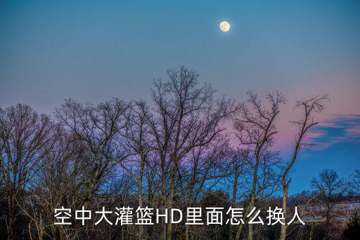 空中大灌篮HD里面怎么换人