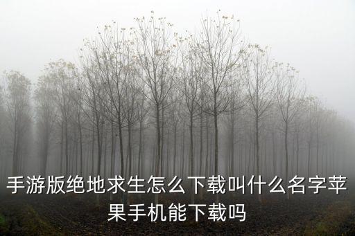 手游版绝地求生怎么下载叫什么名字苹果手机能下载吗