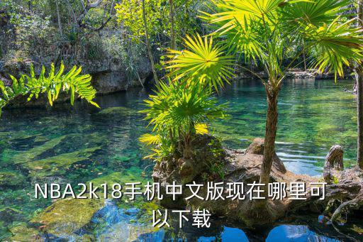 NBA2k18手机中文版现在哪里可以下载
