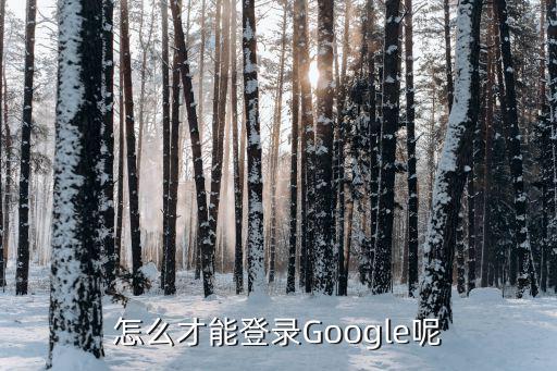 怎么才能登录Google呢